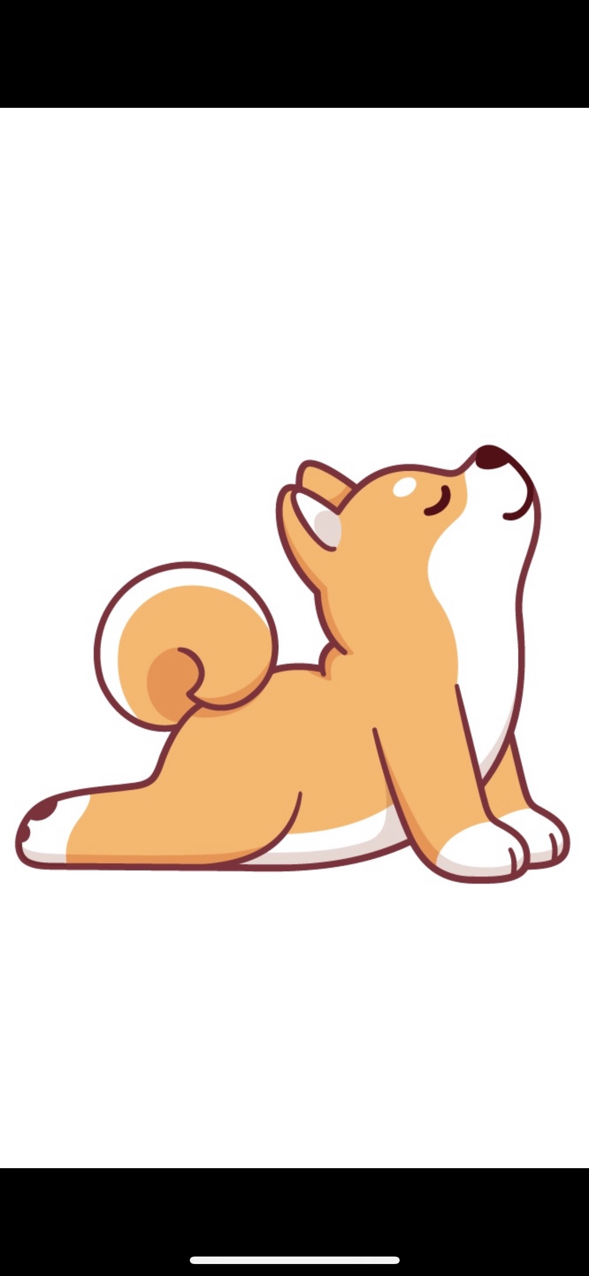 Sucor Assets